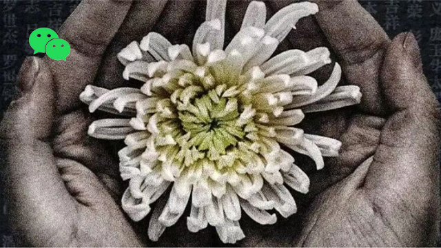 國家公祭日 | 銘記國殤，共護和平